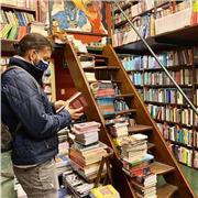 Clases de literatura hispánica, literatura comparada, teoría de la literatura, teoría cultural, estudios culturales